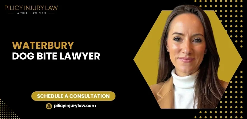 Waterbury Dog Bite Lawyer-image